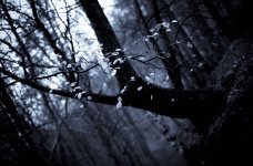 For Upload to Internet-2-4.jpg