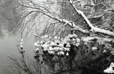 snowstorm m2 1.jpg