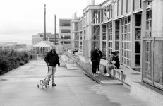 Dog on wheelssmall.jpg