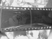 dev no good 1.jpg.jpg