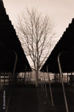 l1.jpg