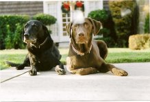 scan0002.jpg