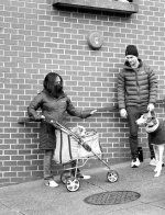 Dog in stroller small.jpg