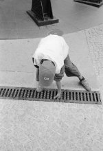 APX 400 Cron C 1010 Junge gitter copy.jpg