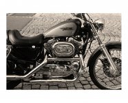 harley-m2-foma100.jpg