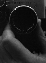 49252827.img193adj.jpg