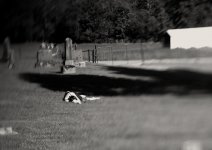 20060514222857_cemetary nap bw se.jpg