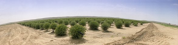 hazerim2-750.jpg