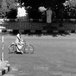 egyptian-cyclist-for-web.jpg