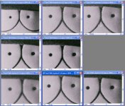 Test Linsen neu1.jpg