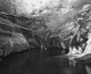 ir-efke-test_positive-2%7E0.jpg