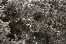 Untitled-12x_sm.jpg