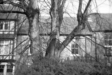 j30134.jpg