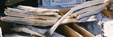Bacalhau.jpeg