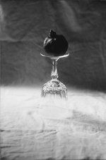 Pomegranite on Glass.jpg