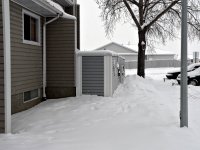 snow 6.jpg