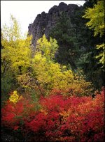 031020-CT57big.jpg