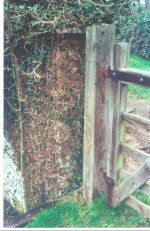 Old gate.jpg