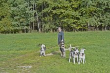 FP00796-schlittenhunde-kl.jpg