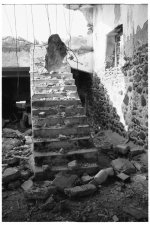 hanging by a thread.JPG