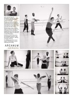 arcanum-2.jpg