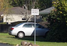 Zeiss Triotar 85mm f4 at f4 crop.jpg