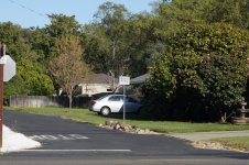 Zeiss Triotar 85mm f4 at f8_s.jpg