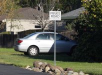 Zeiss Triotar 85mm f4 at f8 crop.jpg