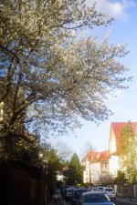 DSC06344_resize.jpg