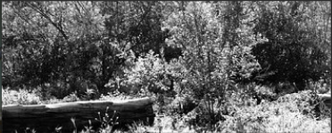 3rd shot shadows Screen Shot 2023-01-29 at 3.48.20 AM.png