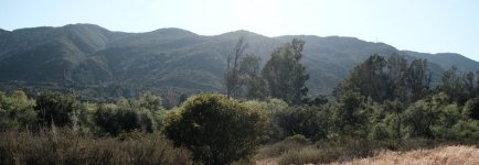 4th photo crop 40091410060_2c35fc1221_c.jpg