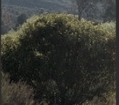 4th photo shadow Screen Shot 2023-01-29 at 4.20.44 AM.png