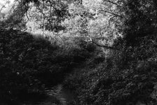 205311004 number2.JPG