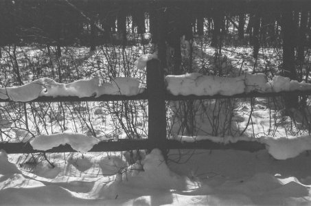 2023-01-19 Stage  Leica IIf  black Topcor 50-28 Catlab 332200010.jpg