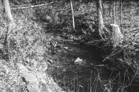 2023-02-27 Charnwood Contax IIA Sonnar 50-2 Eastman 5222 380420023.jpg