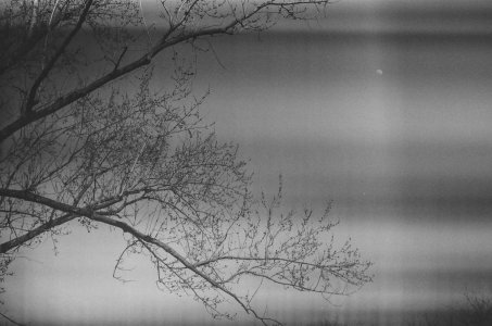 2023-02-27 Charnwood Contax IIA Sonnar 50-2 Eastman 5222 380420025.jpg