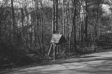 2023-02-27 Charnwood Contax IIA Sonnar 50-2 Eastman 5222 380420030.jpg