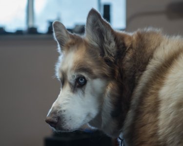 2023-03-11 Trooper A6300 Canon 50-22 DSC00491.jpg