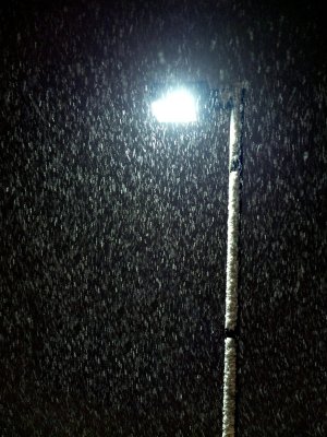 CHA Snowstorm 14-F4036.jpg