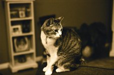 01750016_cleaned up.jpg