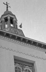 playland-scan-closeup.jpg