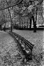 contax212.jpg