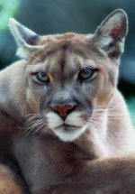 F5 WG200 500P 21.jpg