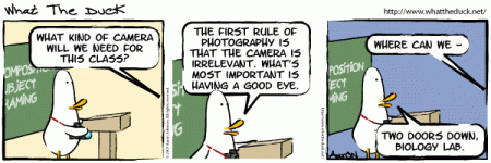 WTD136.gif