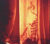 Day 230 - Redscale lamp and window.jpg