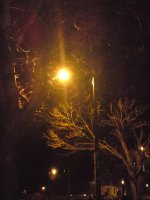 DSC00783.jpg