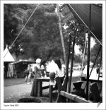 090822-4-011-webs.jpg