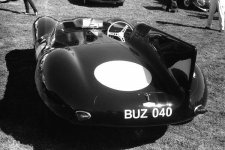 D-Type rff.jpg