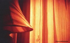 Day 230 - Redscale lamp.jpg