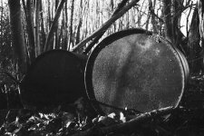 Pulled 50_20161229_0029.jpg